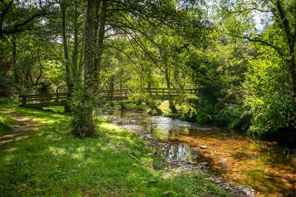Fraga da Marronda, bosque mágico con puente de piedra y arroyo en Galicia
