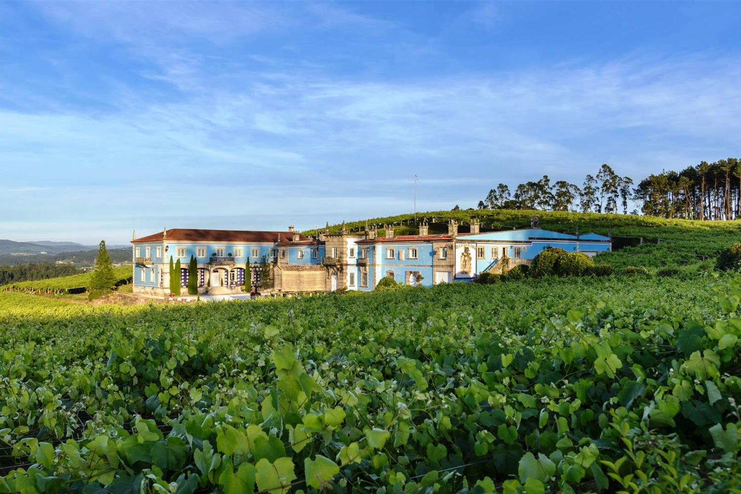 Bodega Granbazán rodeada de viñedos de Albariño en Rías Baixas