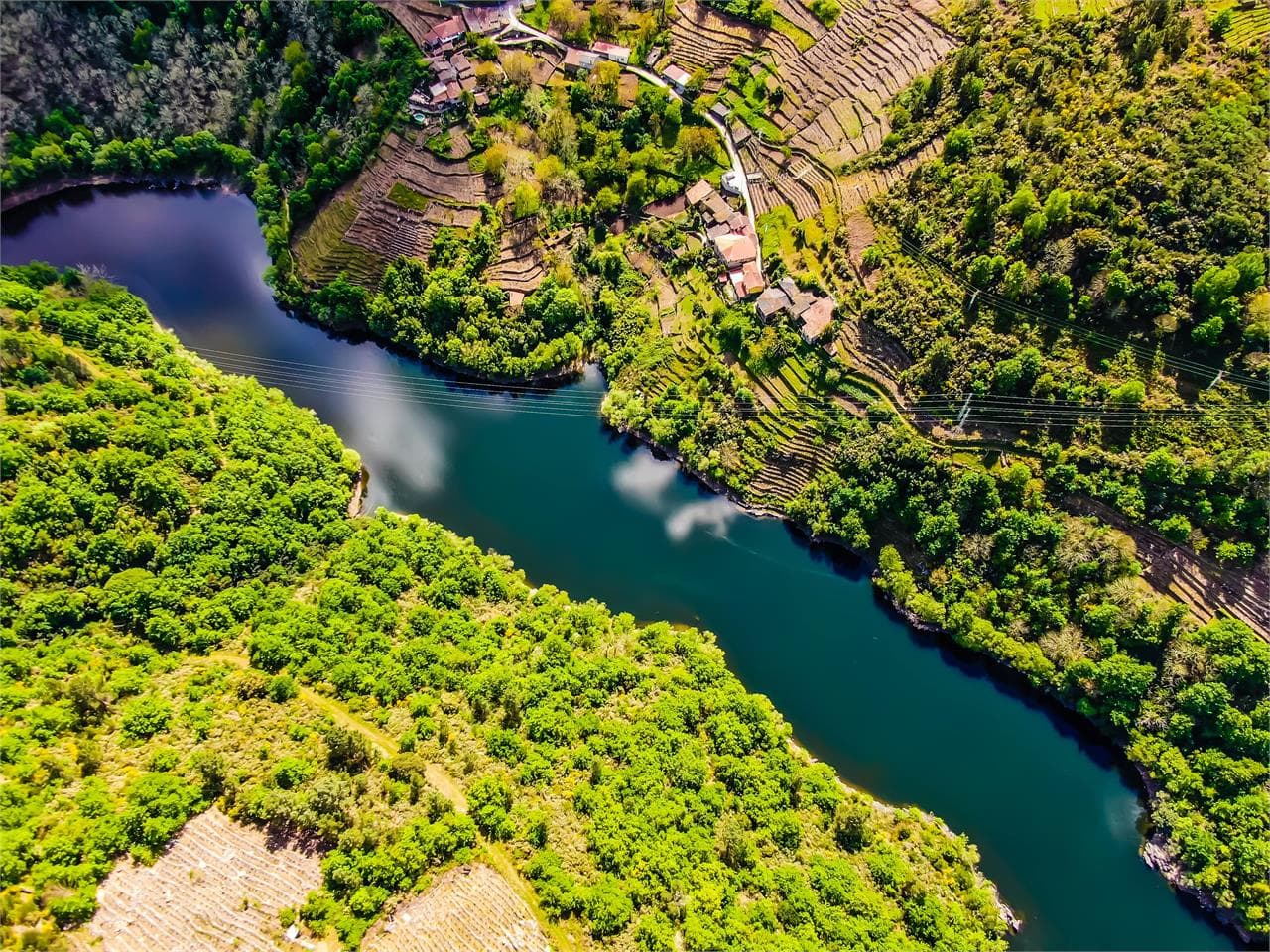 Vista aérea de viñedos en bancales sobre el río en la Ribeira Sacra con aldea gallega